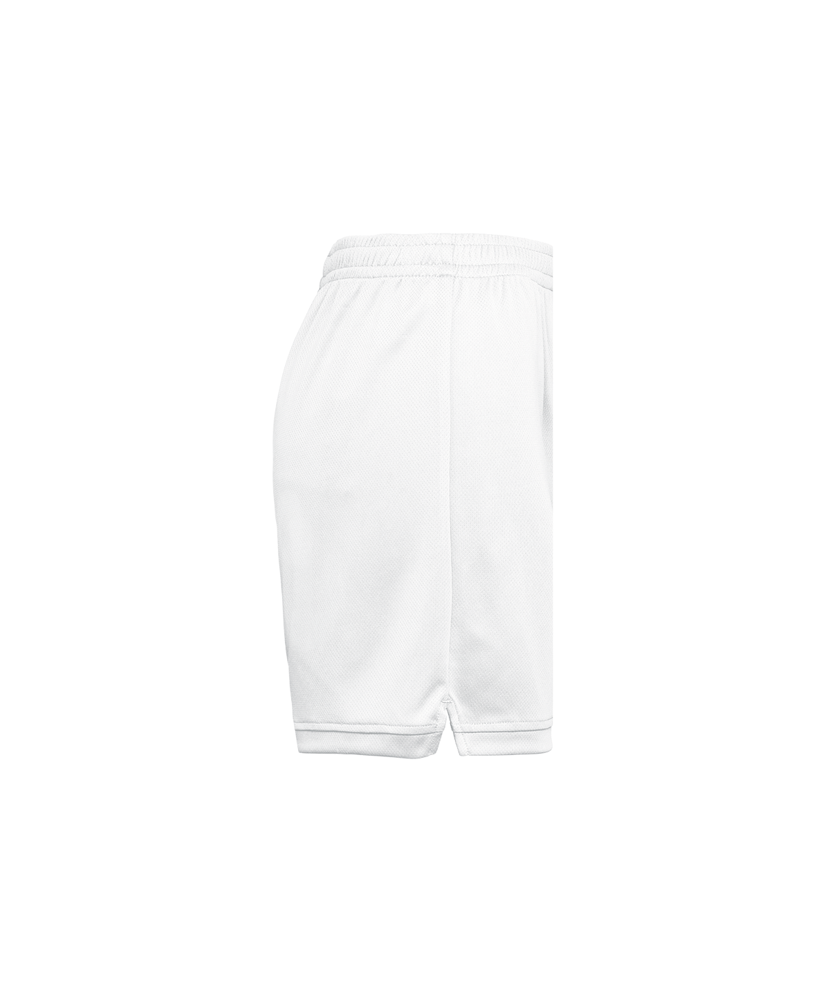 Baskeshorts Dam
